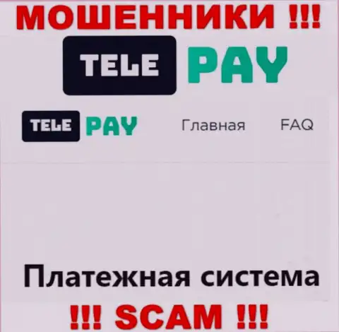 Основная работа TelePay - Платежная система, будьте бдительны, работают преступно