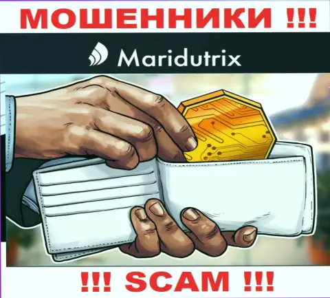 Криптокошелек - в данной области прокручивают свои делишки хитрые internet аферисты Maridutrix