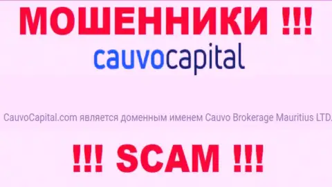 Мошенники CauvoCapital принадлежат юридическому лицу - Cauvo Brokerage Mauritius LTD