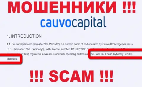 Невозможно забрать вложенные деньги у CauvoCapital - они засели в офшорной зоне по адресу The Core, 62 Ebene Cybercity, 72201, Mauritius