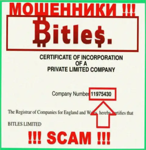 Номер регистрации интернет воров Bitles Limited, с которыми опасно работать - 11975430
