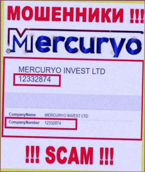 Рег. номер незаконно действующей компании Меркурио - 12332874