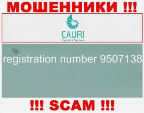 Регистрационный номер, принадлежащий жульнической организации Каури Ком: 9507138