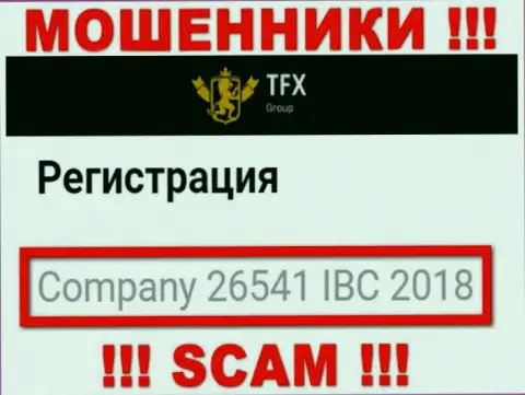 Регистрационный номер, который принадлежит преступно действующей организации TFX Group: 26541 IBC 2018