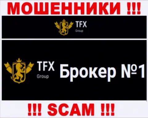 Не нужно доверять финансовые активы TFX FINANCE GROUP LTD, так как их область деятельности, Форекс, обман