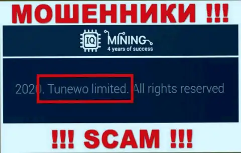 Ворюги Tunewo Limited написали, что Тунево Лимитед управляет их лохотронным проектом