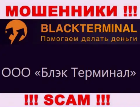 На официальном ресурсе BlackTerminal Ru написано, что юридическое лицо организации - ООО Блэк Терминал