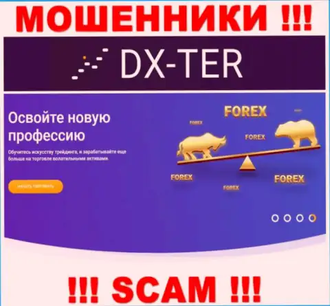 С организацией DX Ter совместно работать опасно, их сфера деятельности Forex - это ловушка