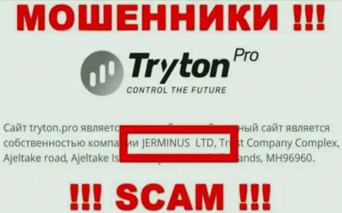 Информация об юридическом лице Тритон Про - это организация Jerminus LTD