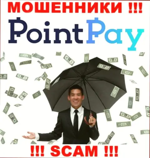 Не попадите в грязные руки internet-воров Point Pay LLC, финансовые вложения не увидите