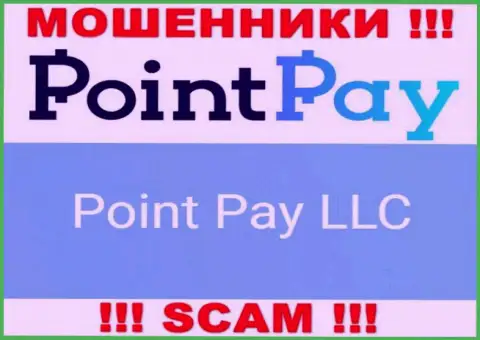 Юридическое лицо мошенников Point Pay - это Point Pay LLC, данные с ресурса мошенников