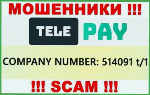 Номер регистрации Теле-Пай Пв, который размещен мошенниками на их онлайн-сервисе: 514091 t/1