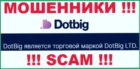 Dot Big - юридическое лицо мошенников контора DotBig LTD