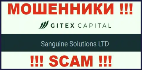 Юридическое лицо Гитекс Капитал - это Сангин Солютионс ЛТД, такую инфу оставили мошенники у себя на веб-сервисе