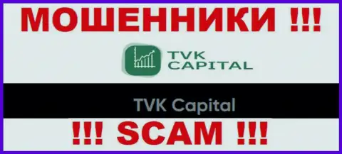 TVK Capital - это юридическое лицо internet-мошенников TVKCapital Com