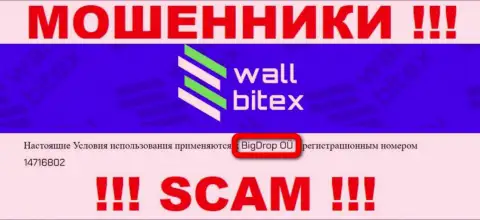 WallBitex - это МОШЕННИКИ !!! Руководит этим лохотроном БигДроп ОЮ