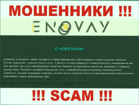 Поскольку деятельность разводил EnoVay Info - это обман, лучше совместного сотрудничества с ними избежать