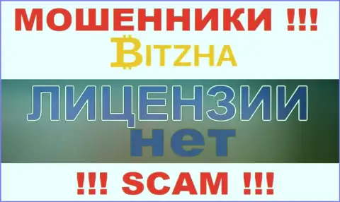 Мошенникам Bitzha24 не дали лицензию на осуществление деятельности - воруют деньги