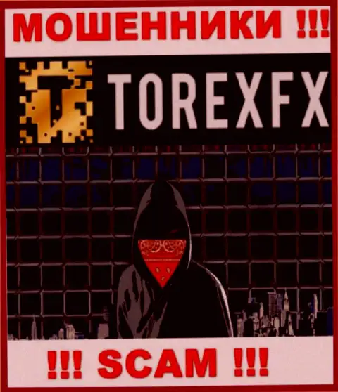 TorexFX не разглашают сведения об руководителях компании