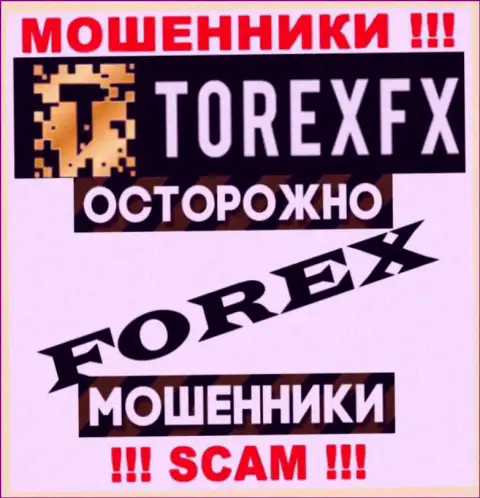 Вид деятельности Torex FX: Forex - хороший доход для internet лохотронщиков